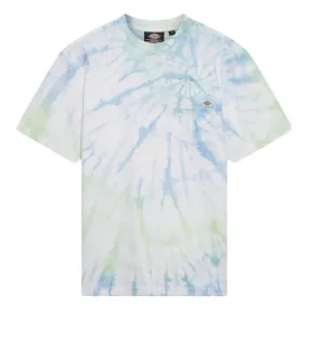 Dickies maglietta manica corta Seatac DK0A4XNZC341 C34 seladon verde V neck style