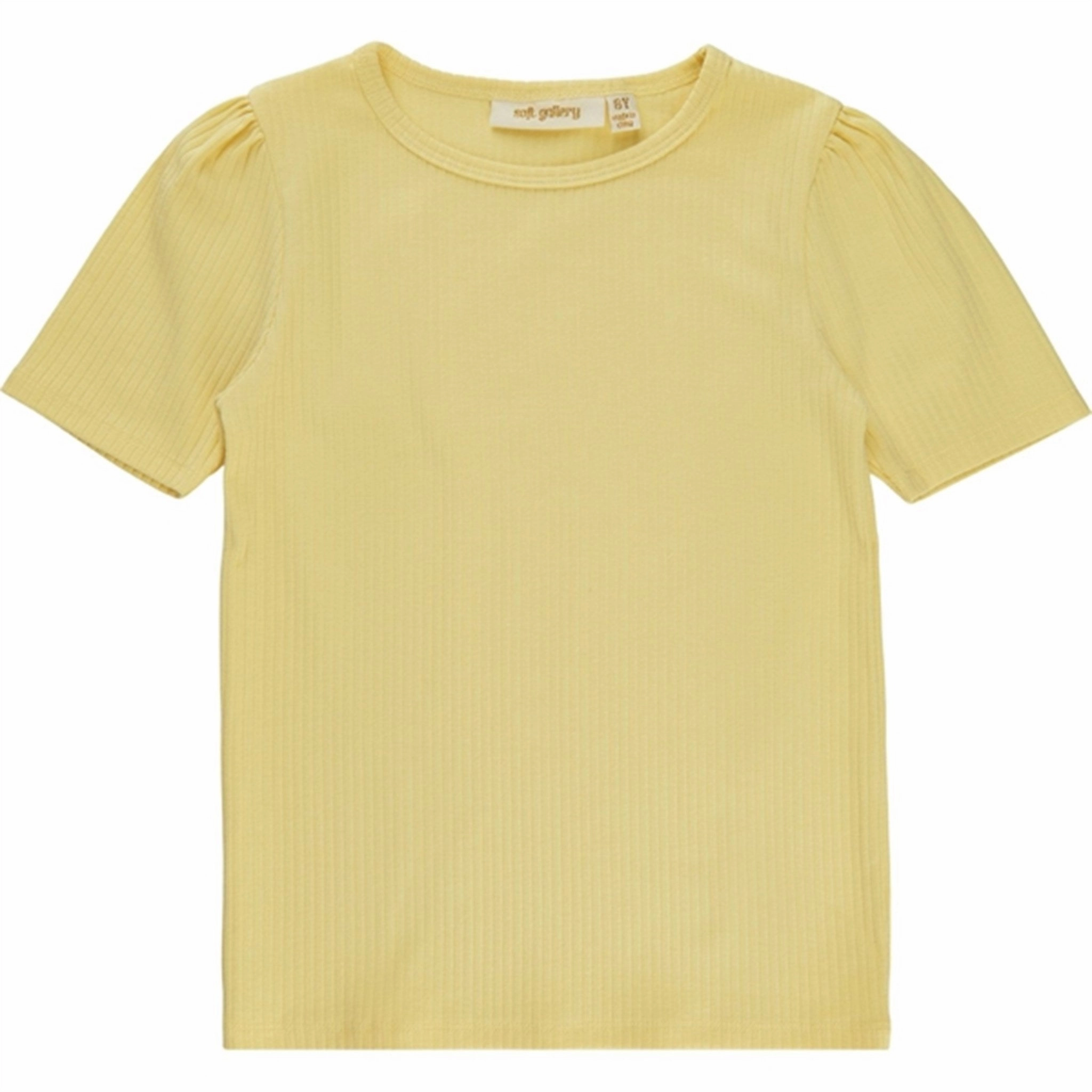 Men's Soft Gallery Popcorn Puff Wide Rib Bella T-shirt