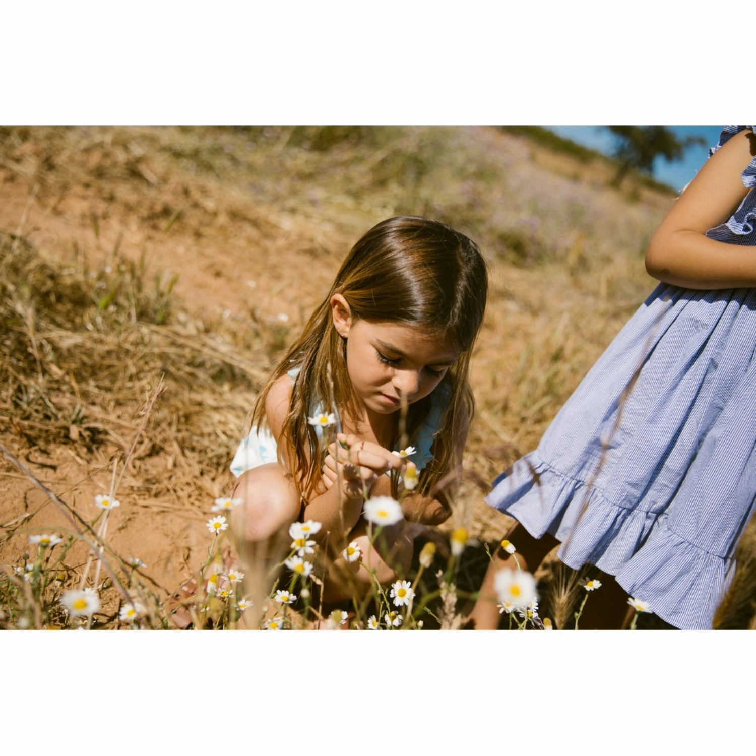 Satin-Finish MarMar Fine Cotton Navy Stripe Danita Frill Dress