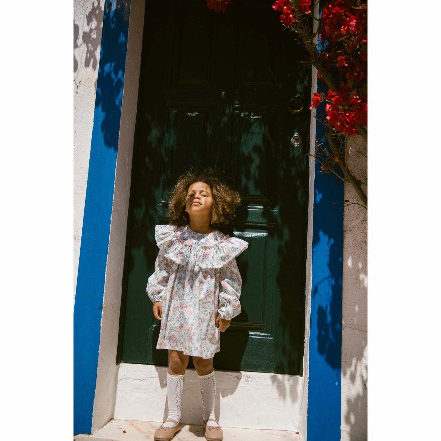 Work-Ready Look MarMar Poplin Summer Bloom Delsa LS Dress