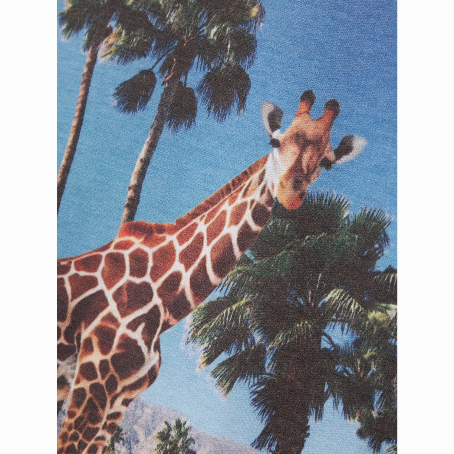 City Smart Name It Yucca Joke T-Shirt