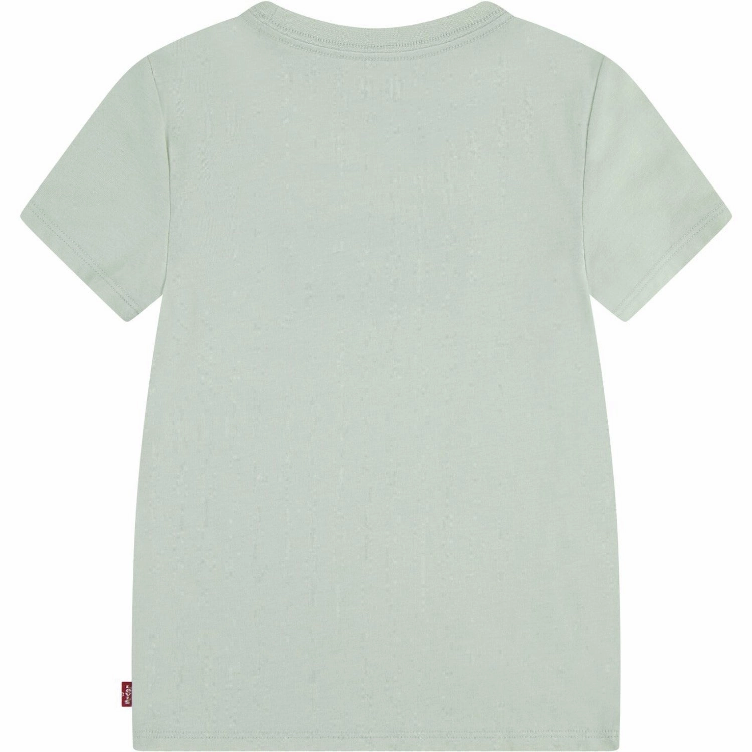 Adaptable Soft Brushed Finish Levi's Celadon Lvg Batwing Tee