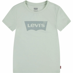 Travel Fashion Functional Fashion Levi's Celadon Lvg Batwing Tee