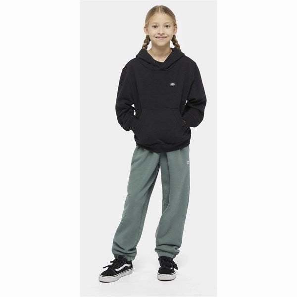 Modern Streetwear Beach club style Dickies Oakport Hoodie Knit Black