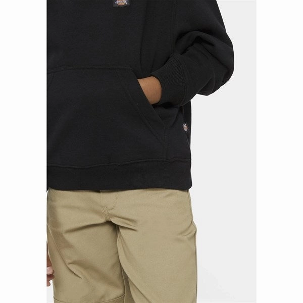 Dickies Oakport Hoodie Knit Black Punk style