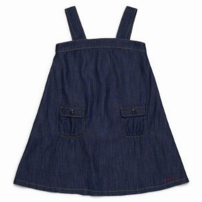 Simple Elegance Marni Denim Dress