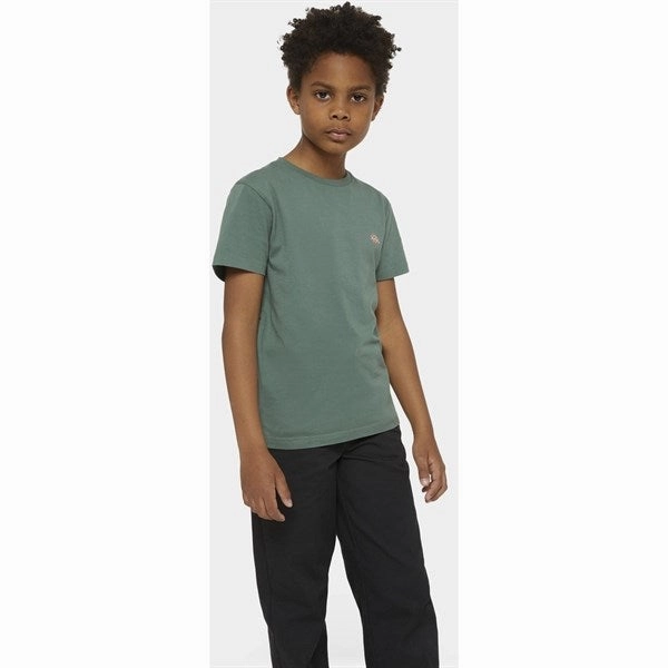 Dickies Mapleton T-Shirt Dark Forest Lightweight Style Chill Fit