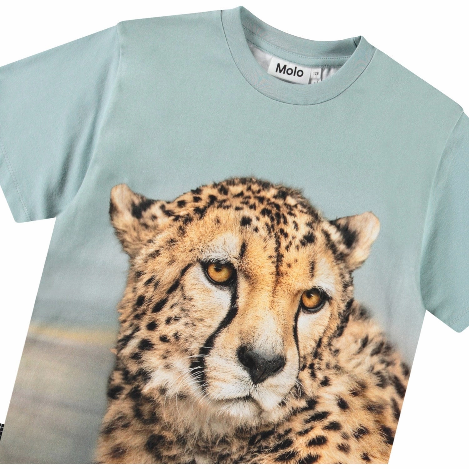 Daily Style Trend Fashion-Forward Fit Molo Big Cheetah Blue Rubin T-Shirt