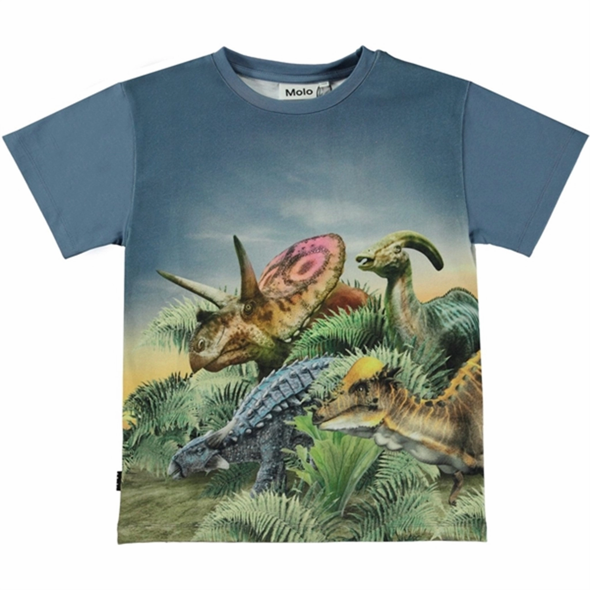 Molo Dino Friends Raveno T-Shirt Essential layering piece