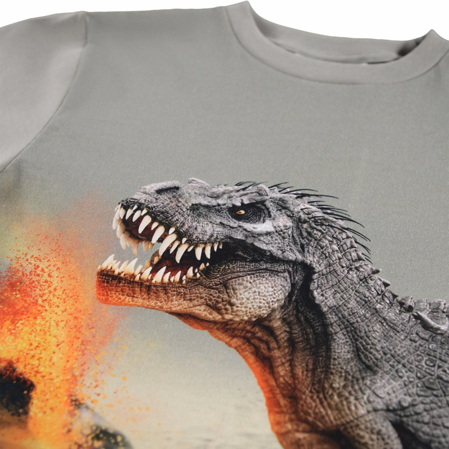 Coastal Vibes Molo Dinosaur Fog Rube Blouse