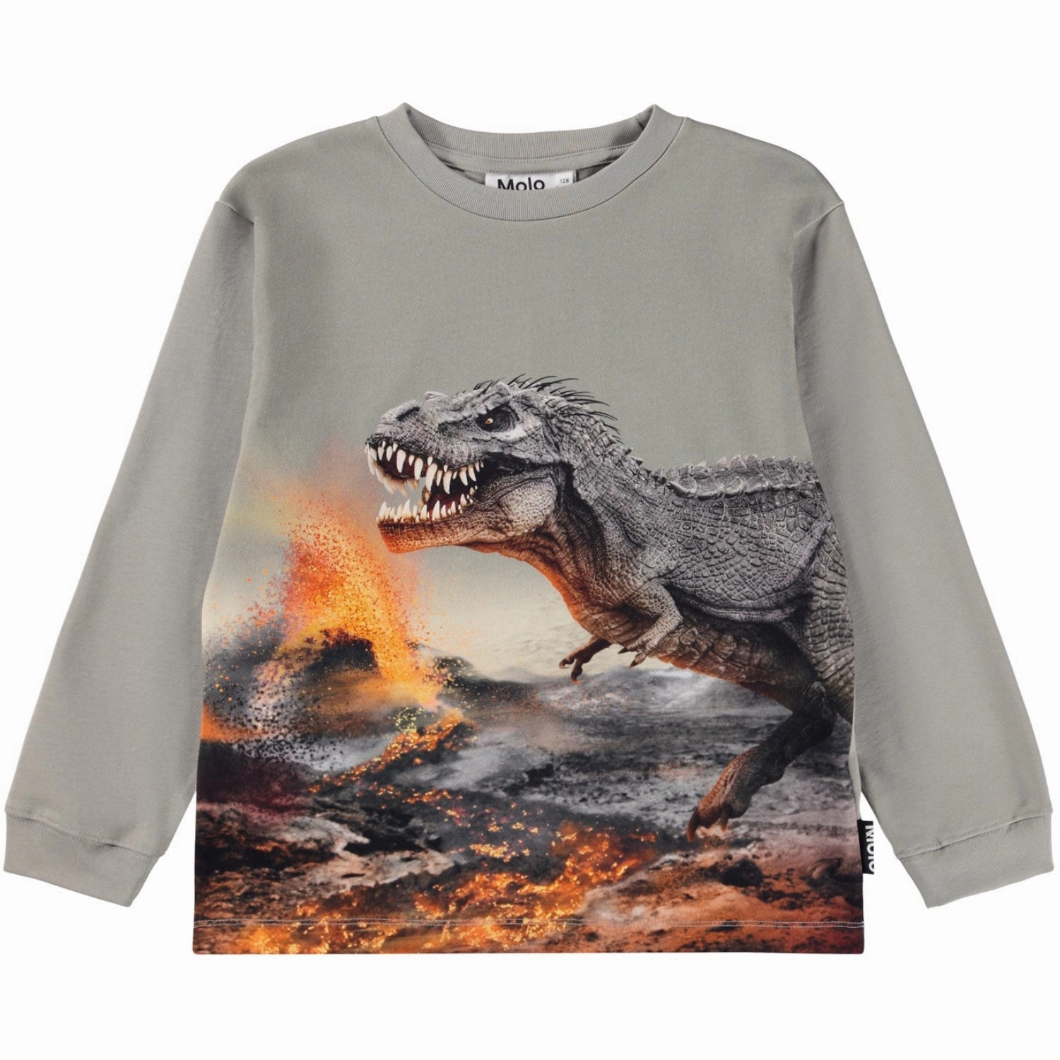 Sustainable Manufacturing Process Molo Dinosaur Fog Rube Blouse