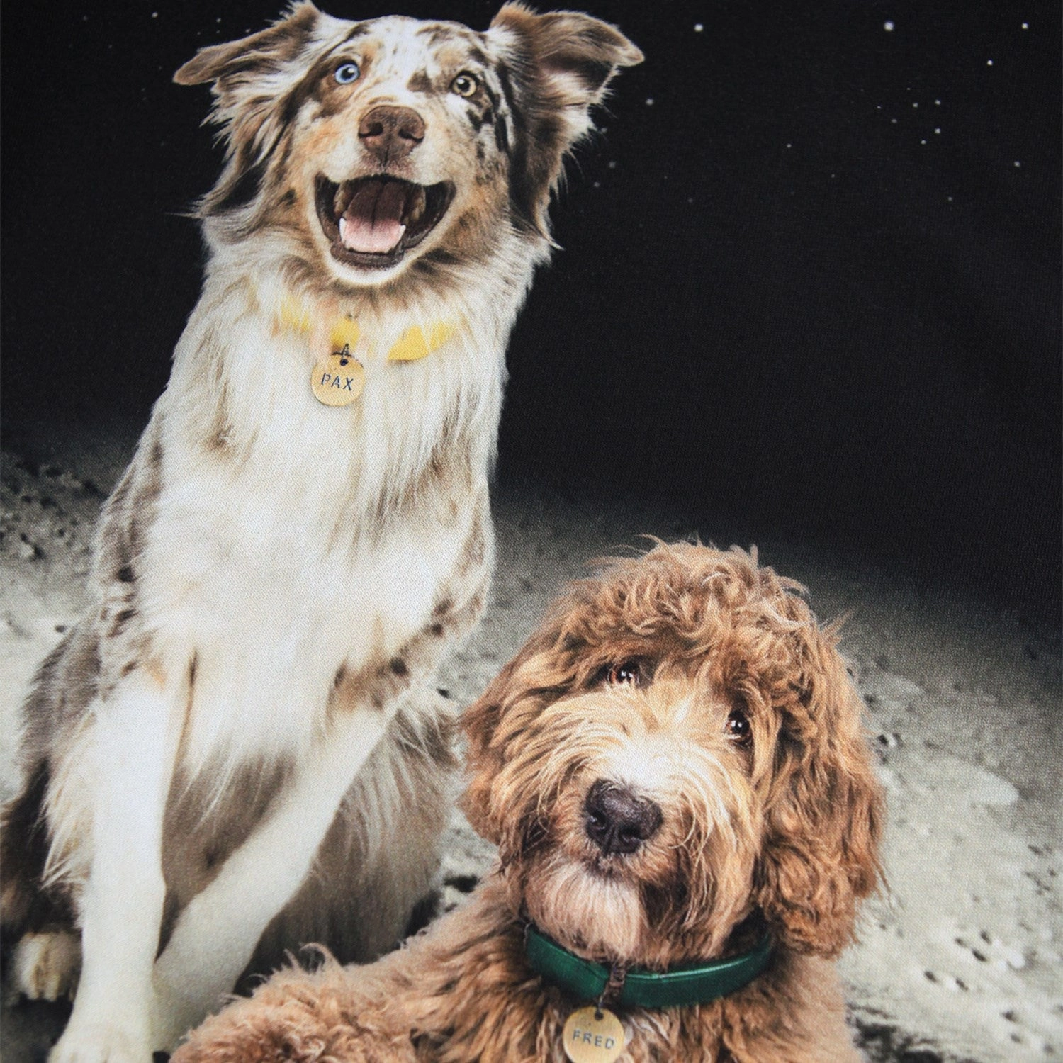 Personalized Touch Matte Finish Molo Moon Friends Reif Blouse