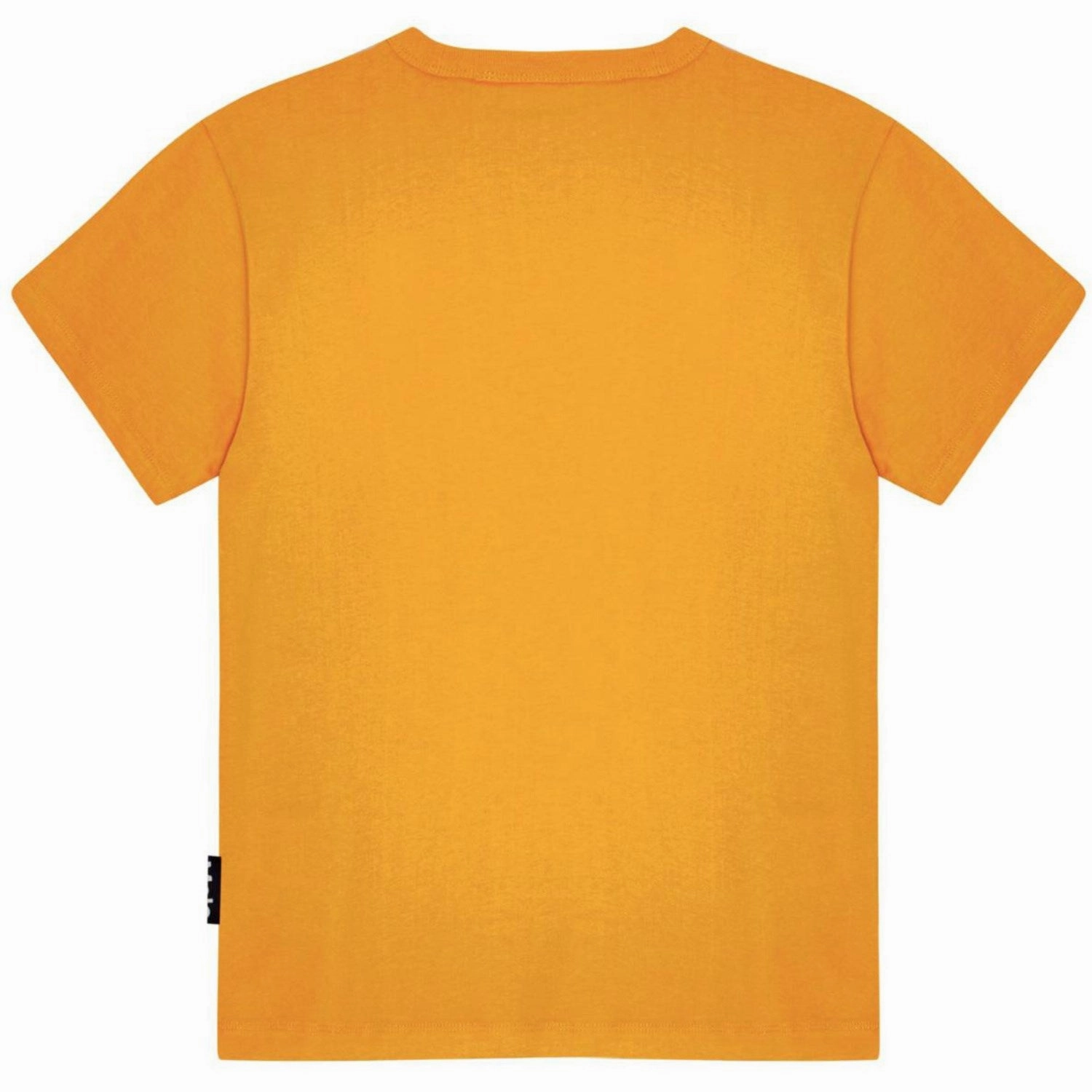 Molo Playful Dinosaur Riley T-Shirt Urban Look