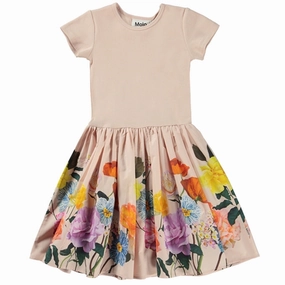 Joy Glow Molo Scent of Roses Cissa Dress