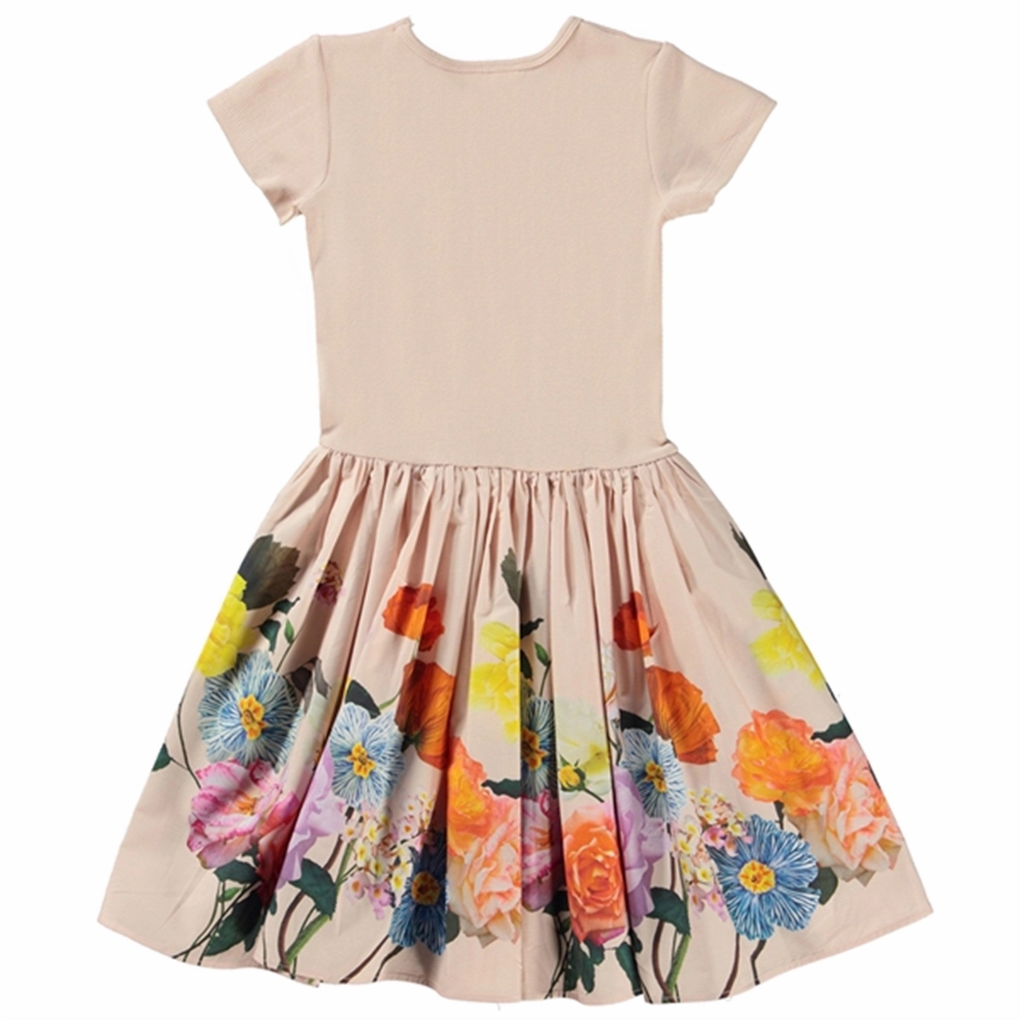 Cozy Design Molo Scent of Roses Cissa Dress