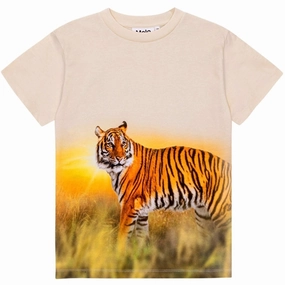 Molo Tiger Sand Roxo T-Shirt Layered Wear