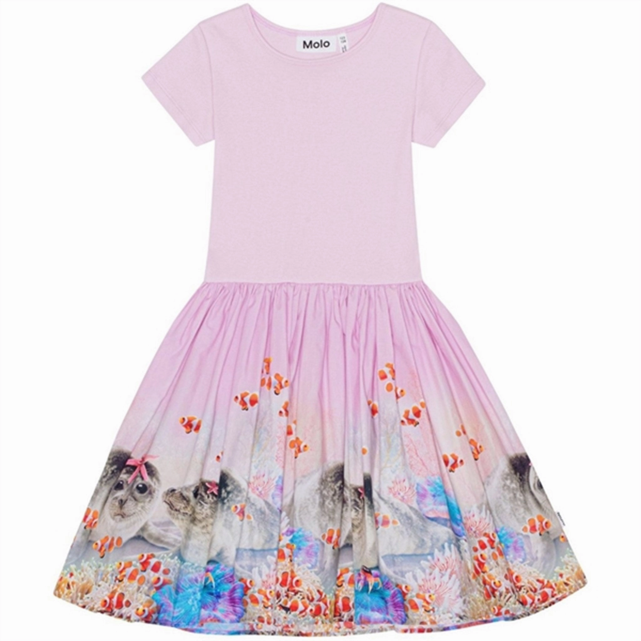 All-Season Wear Smart and Chic Molo Underwater Seals Cissa Dress