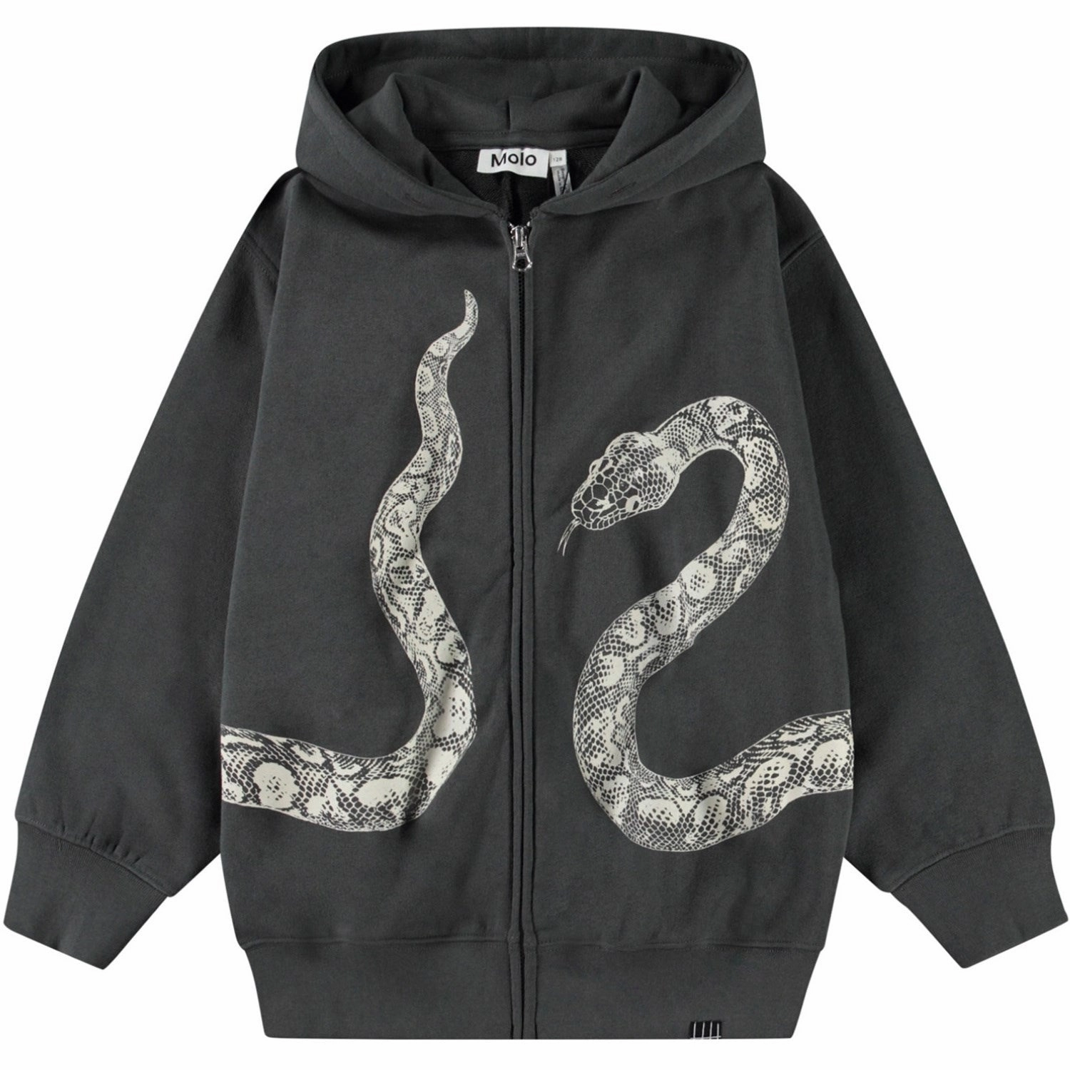 City Smart Bear like Molo Unexplored Mazzo Hoodie