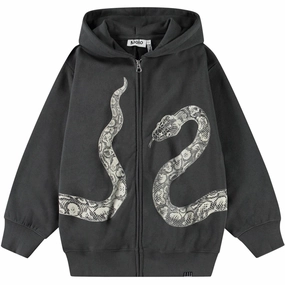 City Smart Bear like Molo Unexplored Mazzo Hoodie