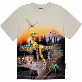 Molo Virtual Scenery Riley T-Shirt Smart Casual Look