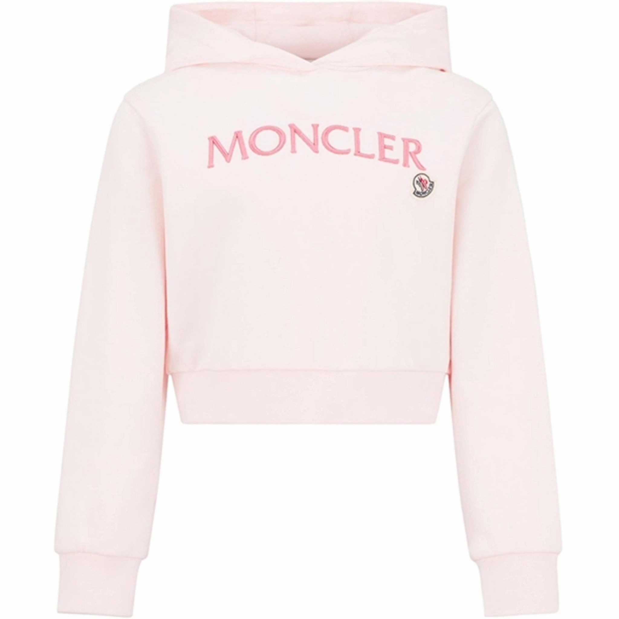 Moncler Hoodie Red Anti Static Lining Thylacine like
