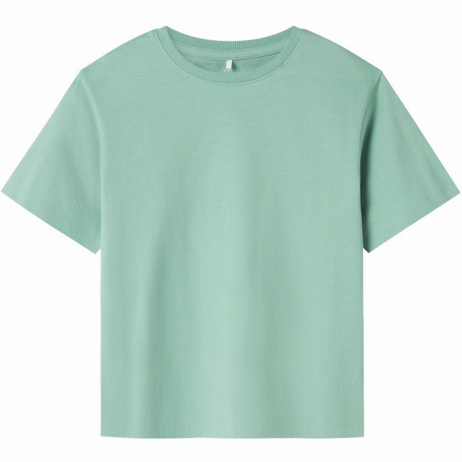 WrinkleResistant Moisture Control Fabric Name It Creme De Menthe Vobbo Regular T-Shirt Noos