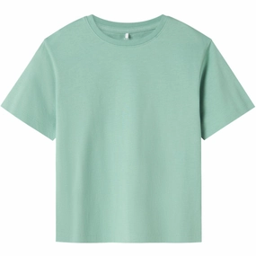 WrinkleResistant Moisture Control Fabric Name It Creme De Menthe Vobbo Regular T-Shirt Noos
