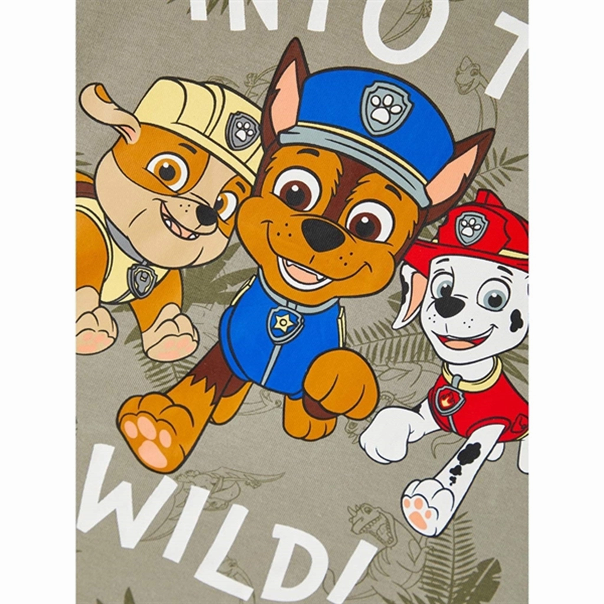 Name it Dried Sage Mont Paw Patrol T-Shirt proper length Outdoor Light
