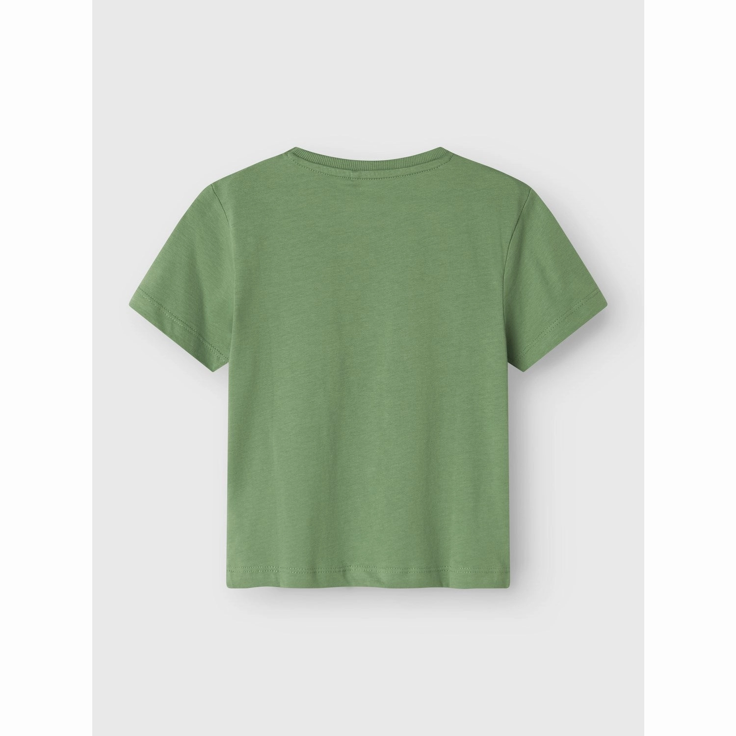 Travel Essential Name It English Ivy Bennibo Regular T-Shirt