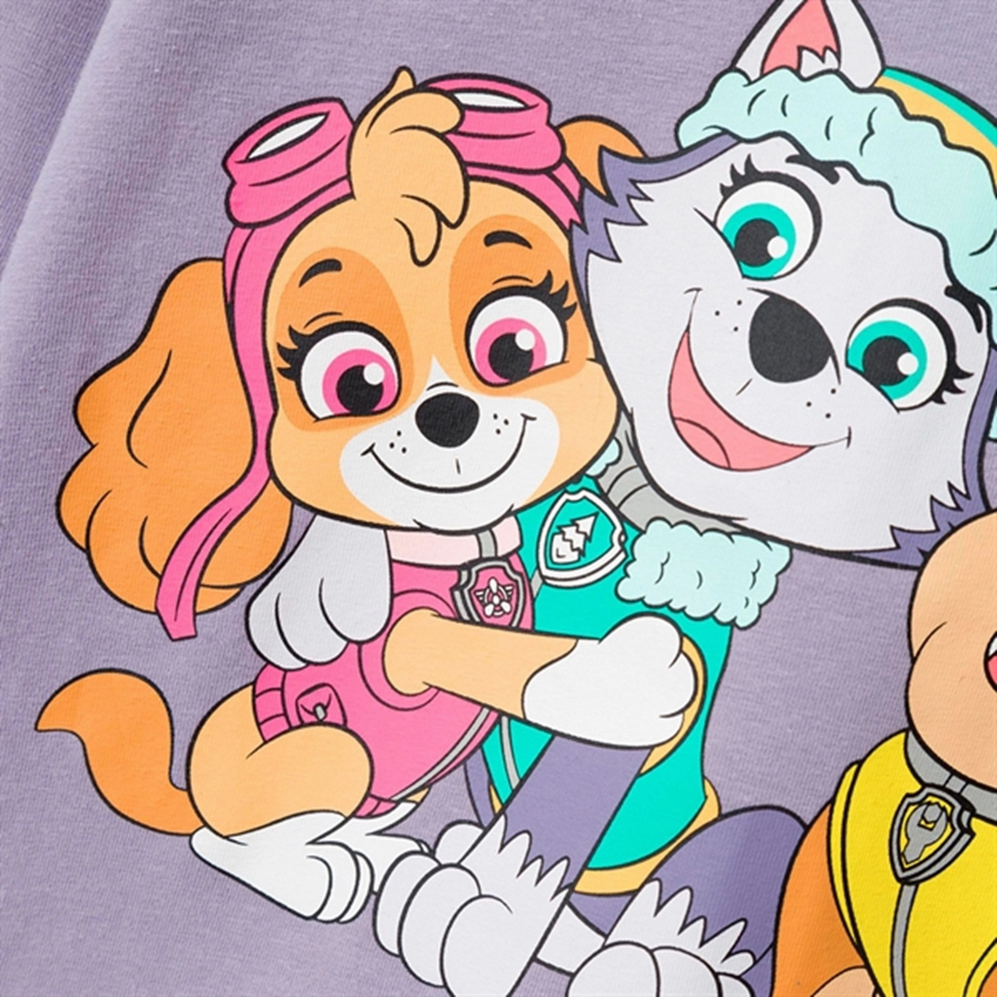 Winter Layering Name it Lavender Gray Jebina Paw Patrol Blouse