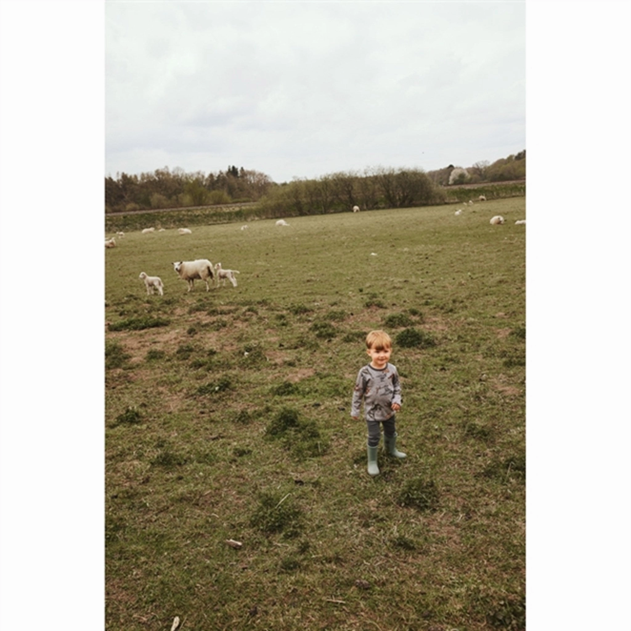 Trendsetting Name it Silver Filigree Aop Willow Wool Blouse AOP