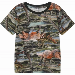 Name it Thyme Hinosaur T-Shirt Elderly Comfort