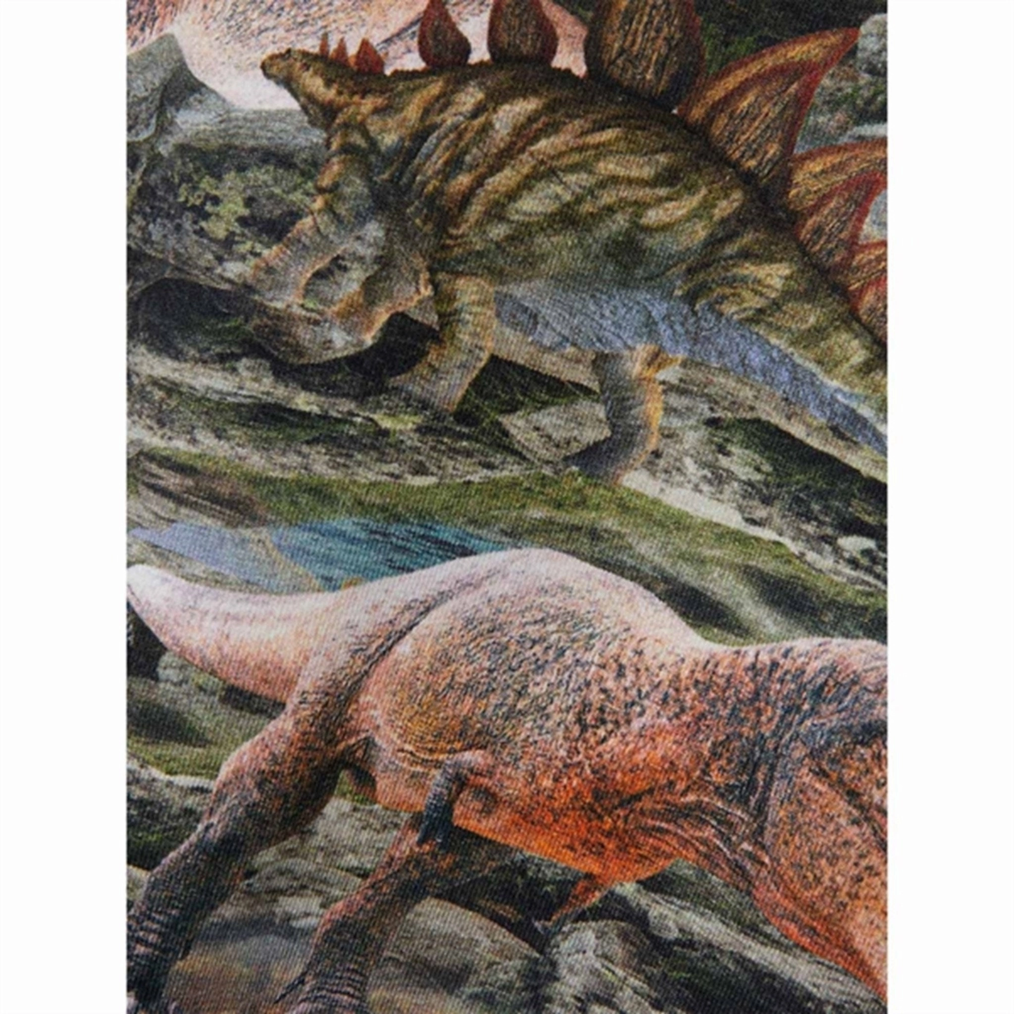 Name it Thyme Hinosaur T-Shirt Seamless construction Anti Odor Technology