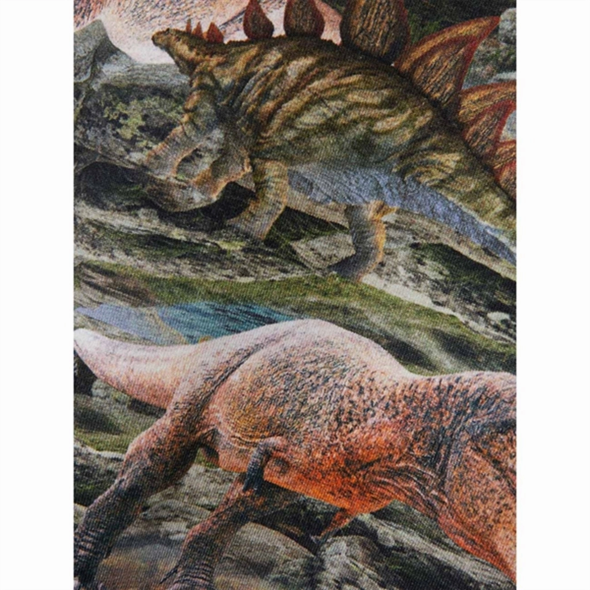 RibbedNeckBanding Name it Thyme Hinosaur T-Shirt