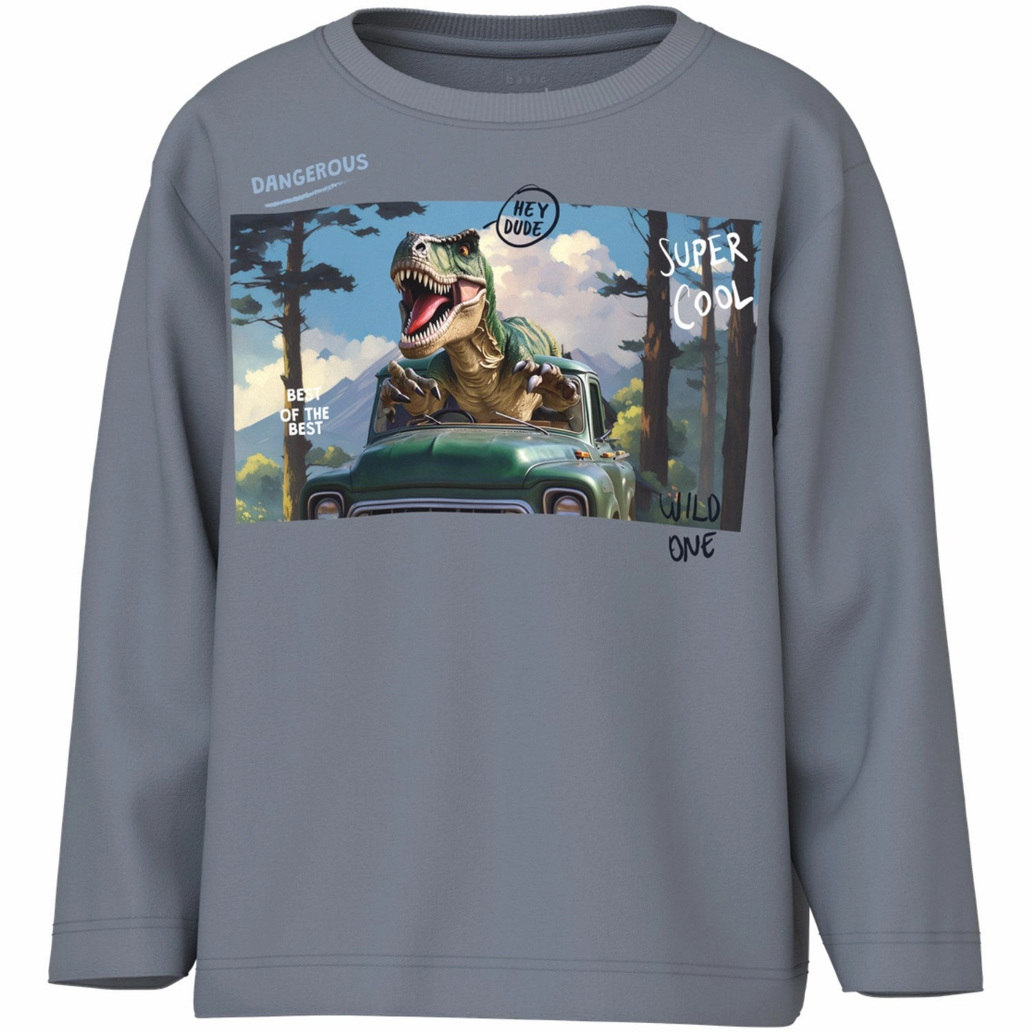 Student Essential Name It Tradewinds Dino Drive Nmmvoto Ls Nreg Top