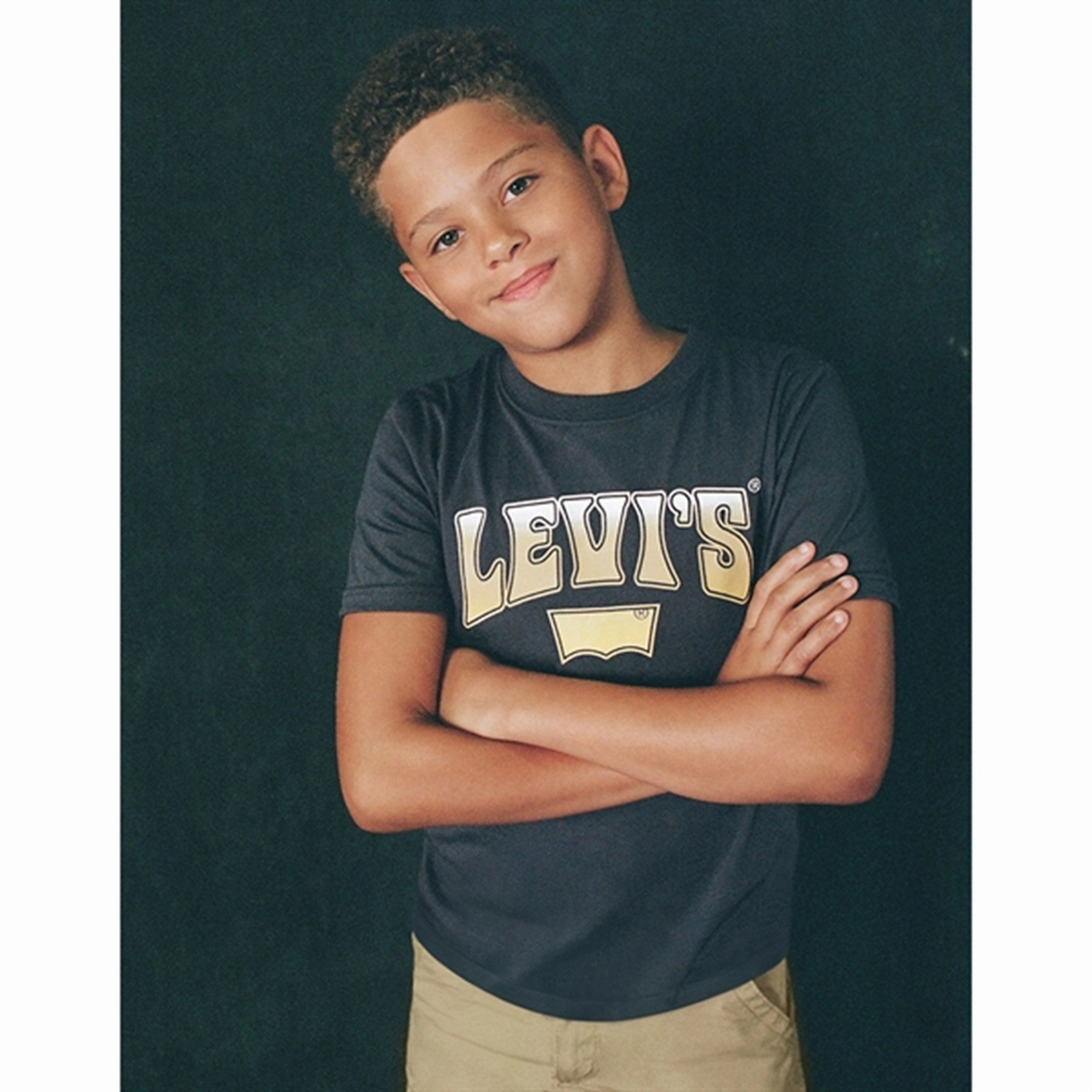 Sporty Style Wear Levi's Rock Out T-shirt Grey