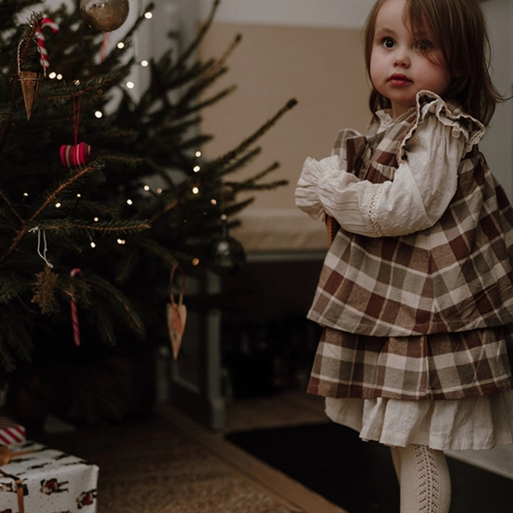 Sophisticated Comfort Side-Zip That's Mine Sterne Check Nanna Dress