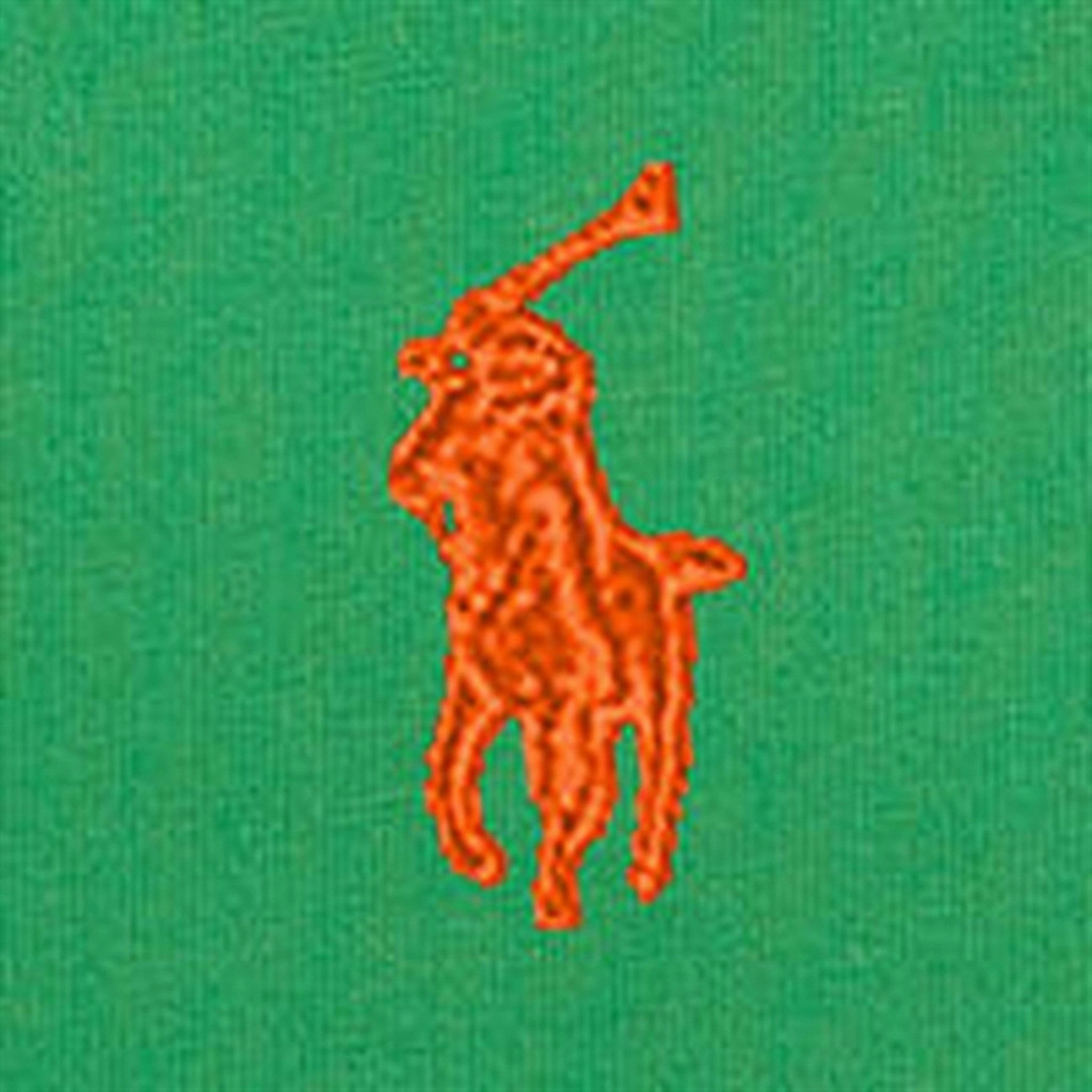 Polo Ralph Lauren Boys T-Shirt Preppy Green Non Toxic Printing Minimal Fashion