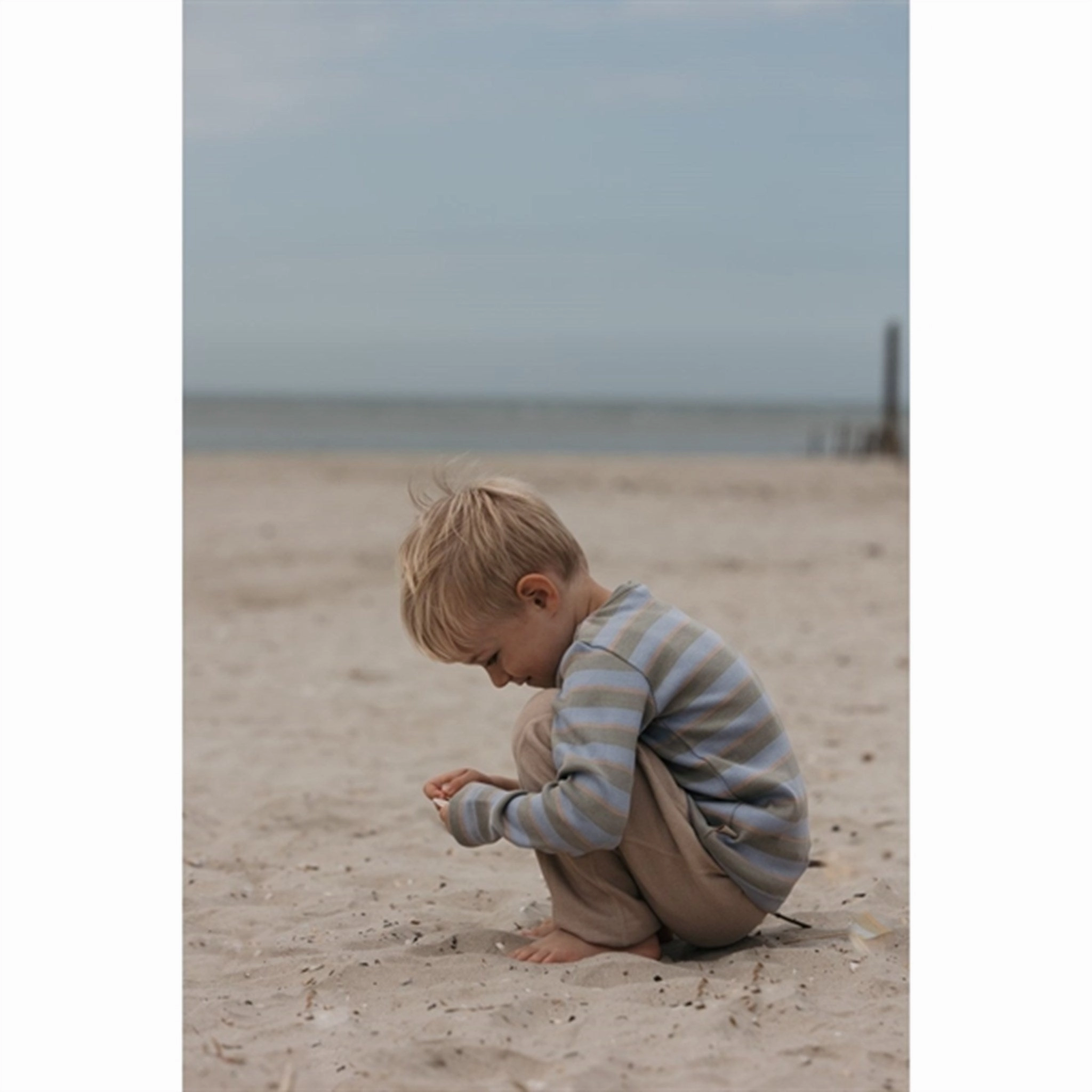 Petit Piao? Green Shadow Blouse Modal Double Striped Sheer Panel Exclusive Collection