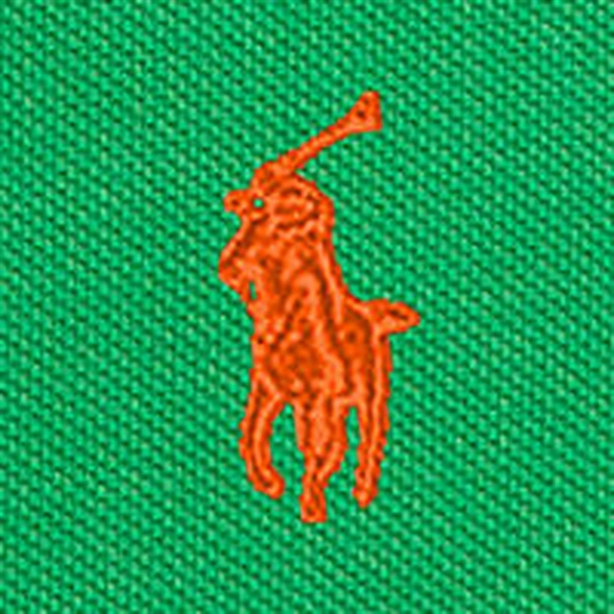 Polo Ralph Lauren Boys Polo Preppy Green Reinforced Shoulders Logo Detail