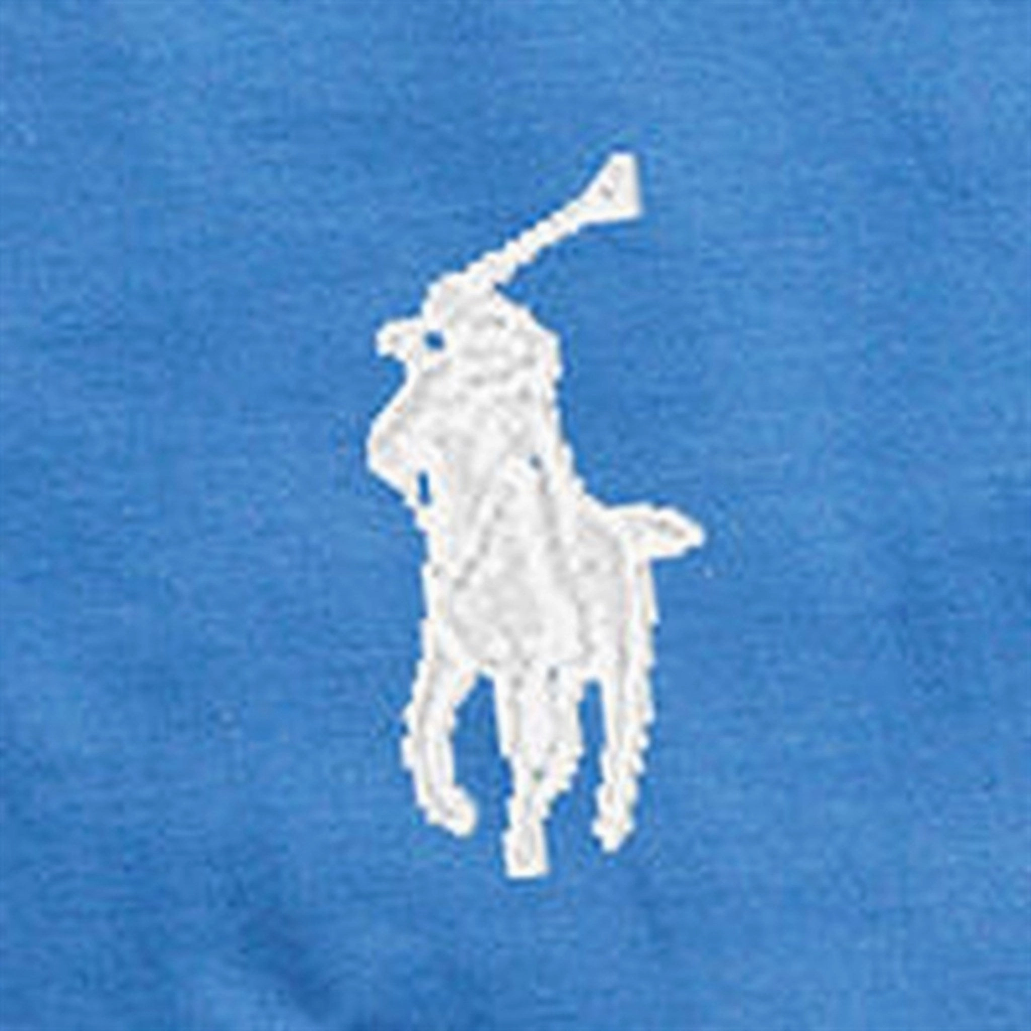 Seasonal Layering Everyday apparel Polo Ralph Lauren Boys T-Shirt Liberty Blue