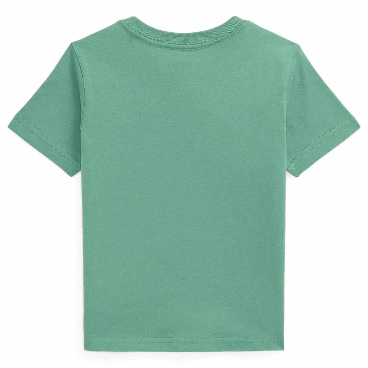 Cozy and Comfortable Polo Ralph Lauren Pf25 Fairway Green Bear T-Shirt