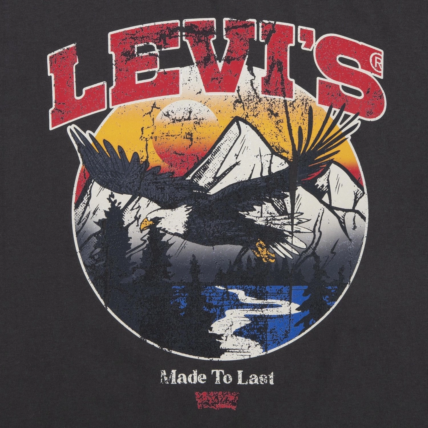 Levi's BLACK Soar Like An Eagle Tee casual top