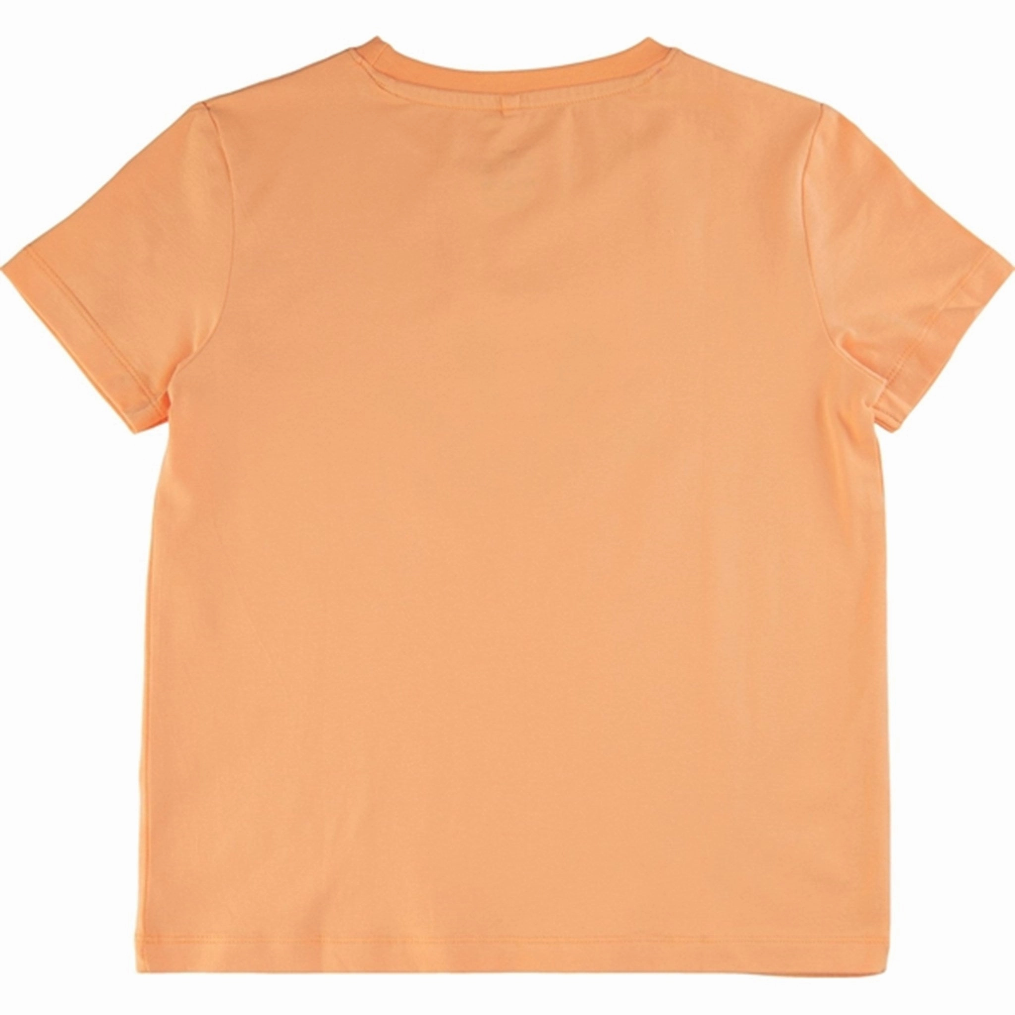 THE NEW Apricot Nectar Gala T-shirt Scoop neck femininity Classic Chic