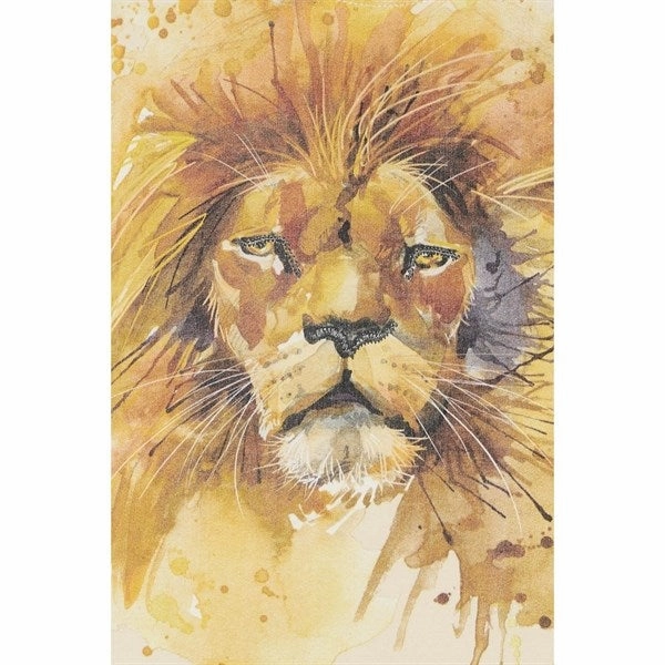 Hust & Claire Mini Sand Arthur T-shirt Outdoor Style Bold colors