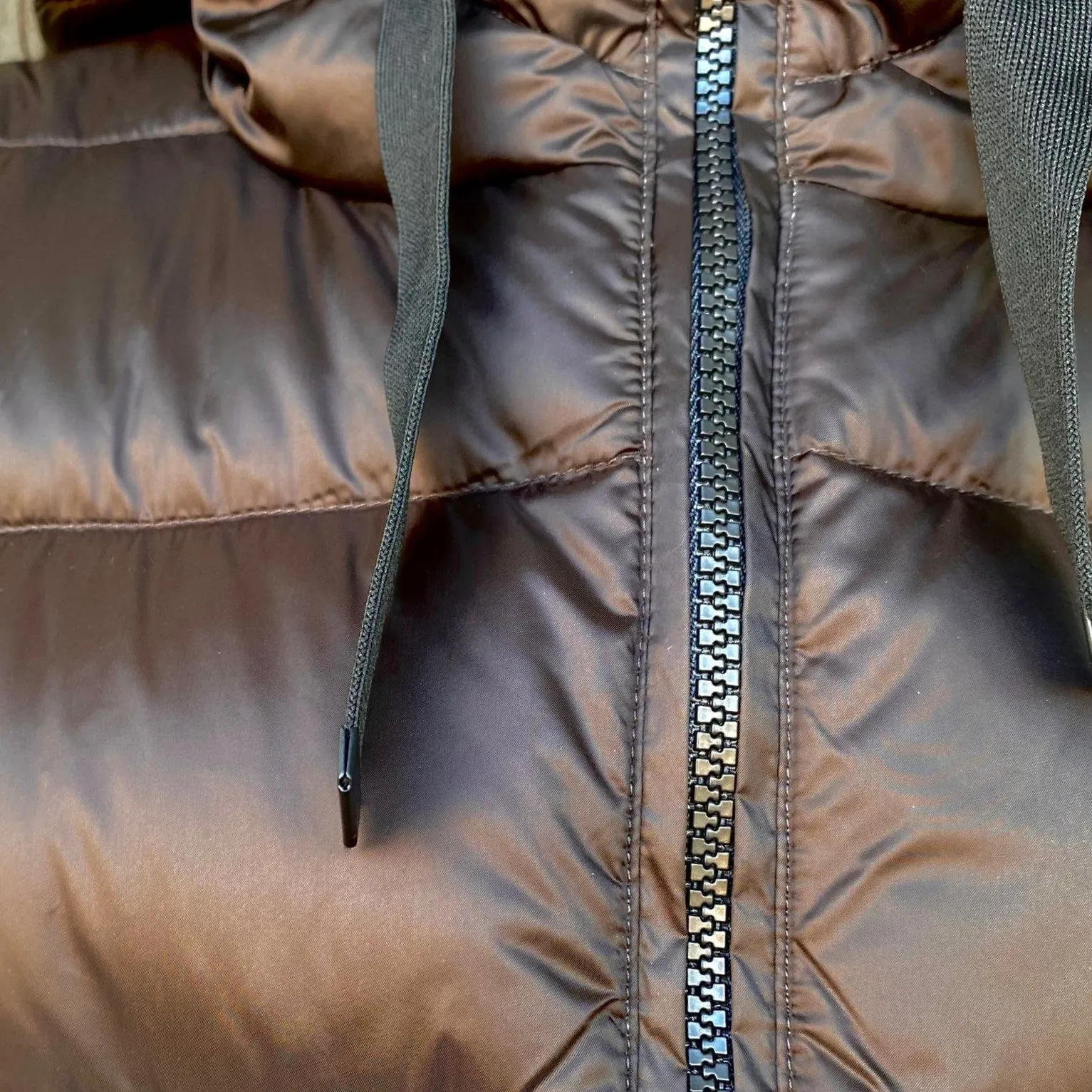 music concert Easy Fit Bomboogie piumino corto da donna con cappuccio Roma GW6012TDLC3 14 marrone