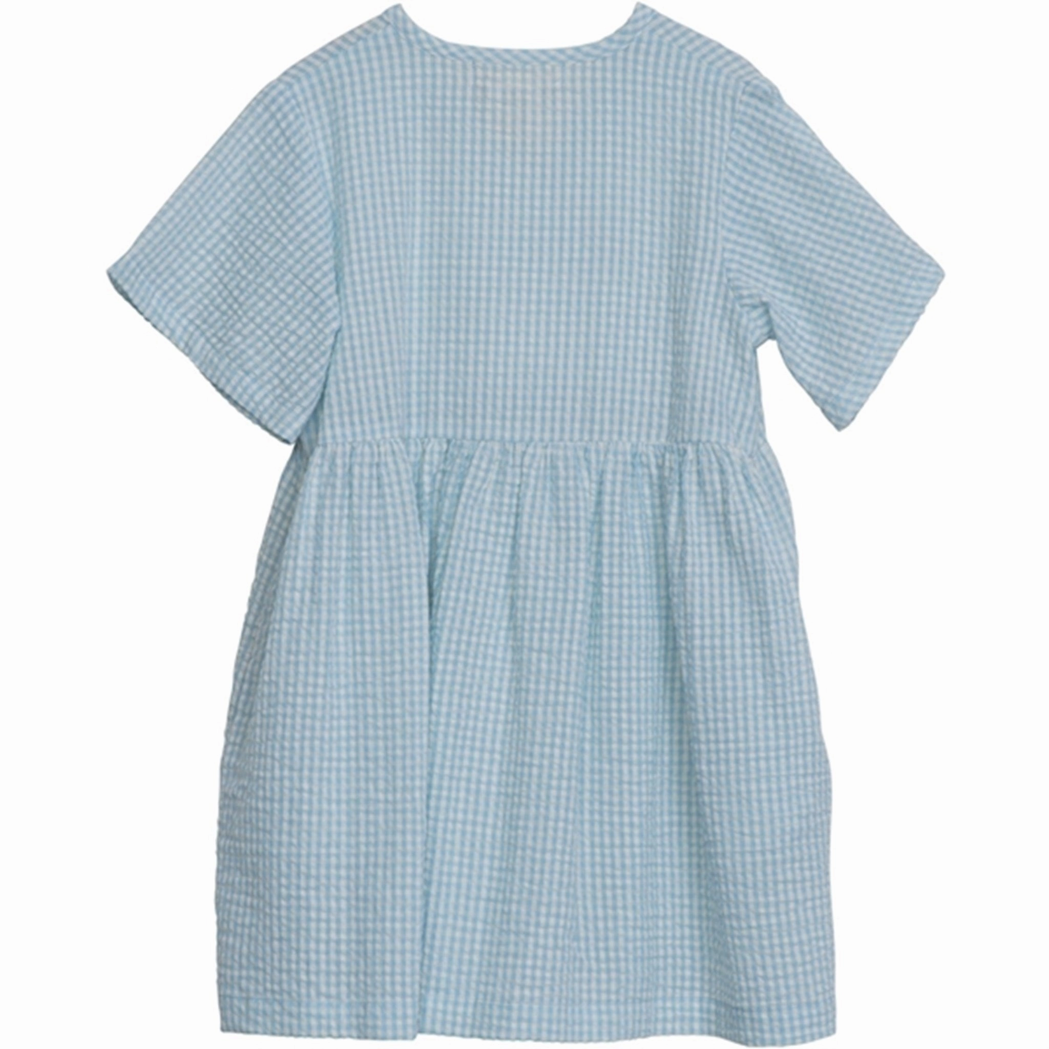 Serendipity Aquachecks Dress Flattering Silhouette Wear