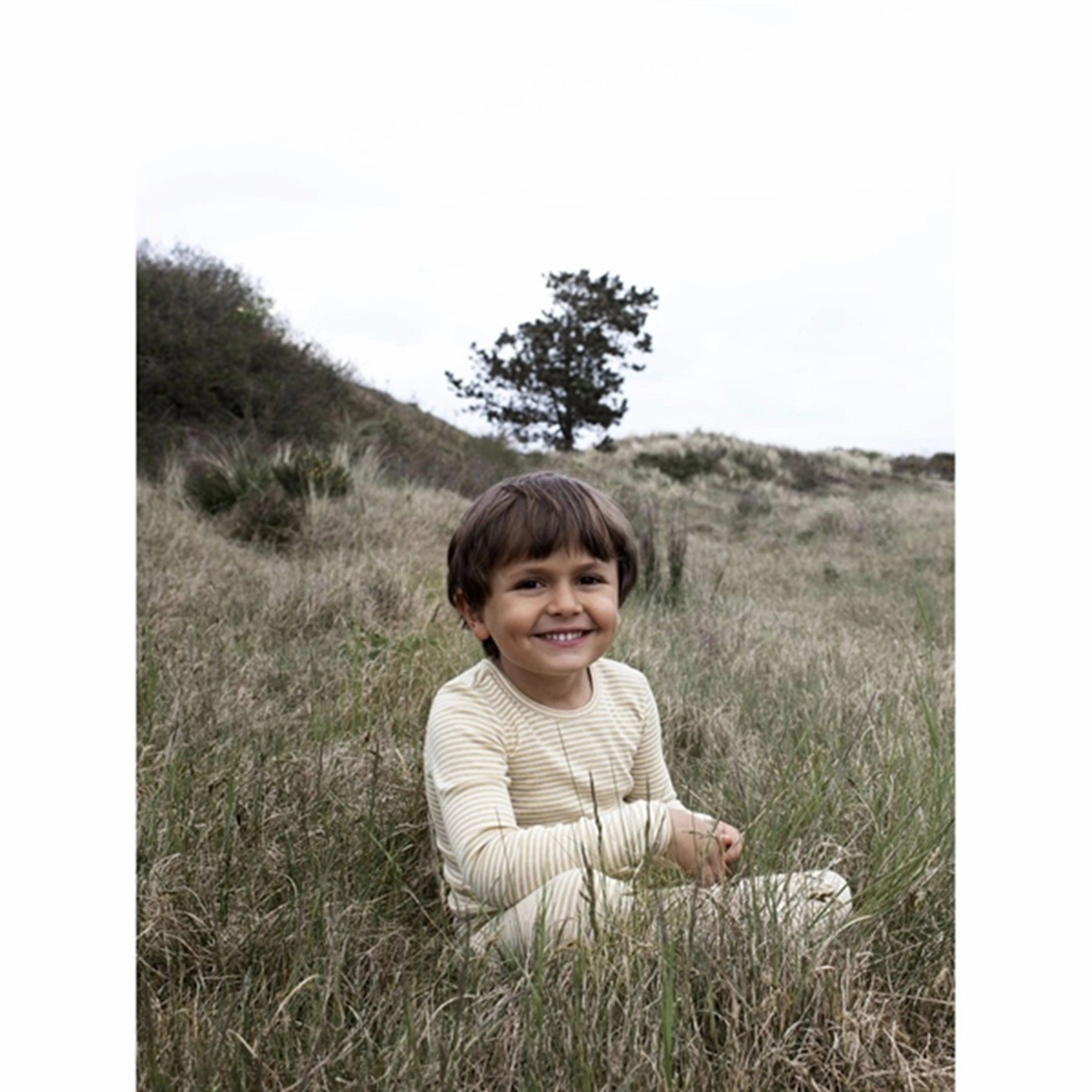 Pre Shrunk Cotton Blend Serendipity Chamomile/Offwhite Slim Blouse Stripe