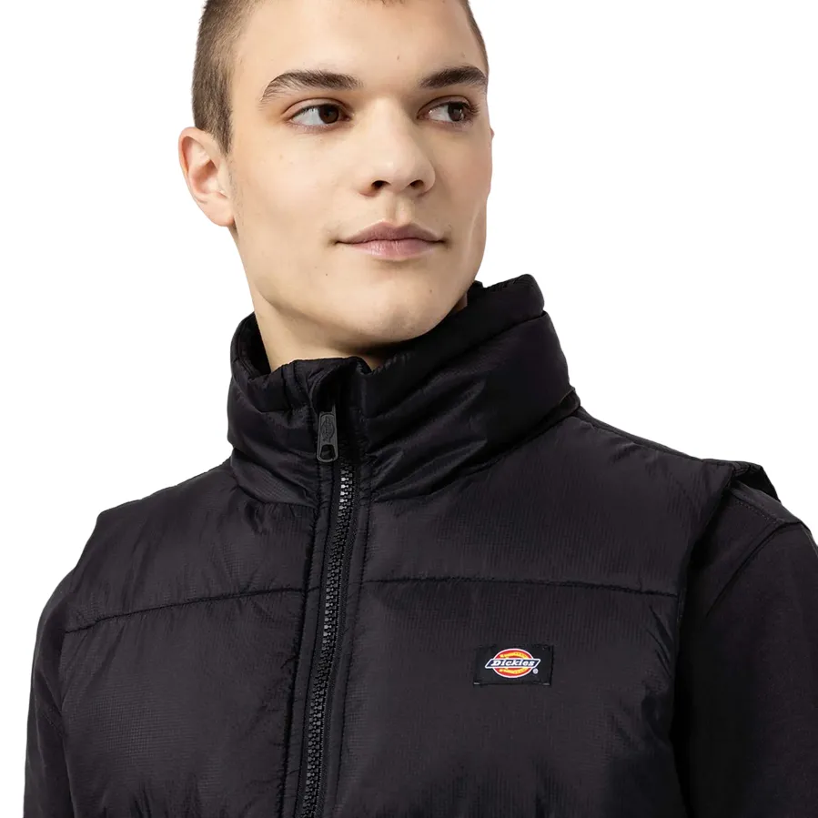 Passion Adjustable Hood Dickies gilet a uomo Waldenburg DK0A4Y2KBLK1 nero