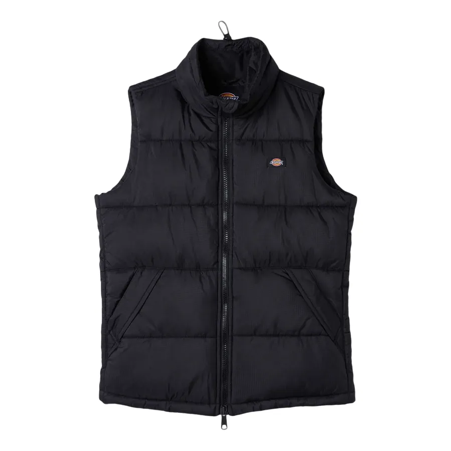 Fearlessness Dickies gilet a uomo Waldenburg DK0A4Y2KBLK1 nero